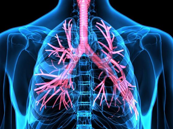 Covid-19 : l’analyse de poumons de patients décédés livre des résultats inattendus