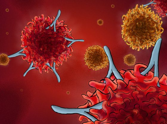 Coronavirus l’immunité croisée remise en question chez les enfants